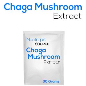 Chaga Mushroom Extract Powder
