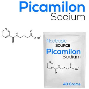 Picamilon Sodium Powder