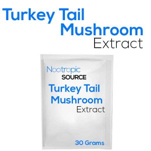 Turkey Tail Mushroom Extract Powder